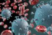 Coronavirus - Immunsystem - News